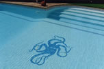 octobus1