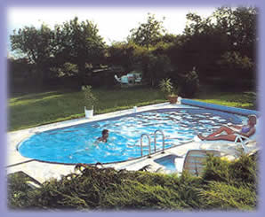 Pool im Garten